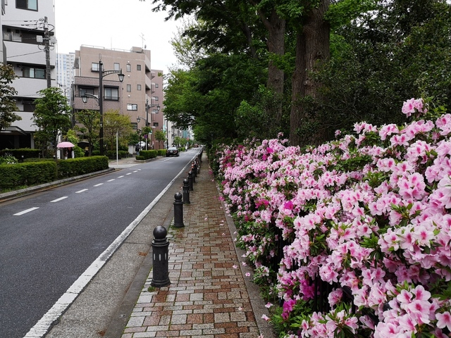 IMG_20190501_152801.jpg