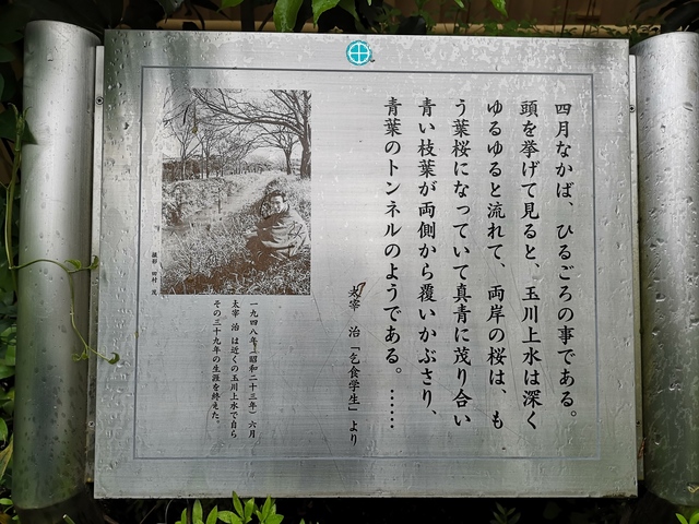 IMG_20190501_153715.jpg