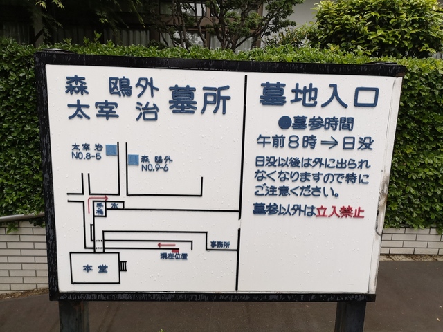IMG_20190501_163352.jpg